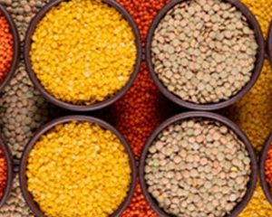 Pulses & Lentils
