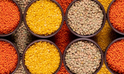 Pulses & Lentils